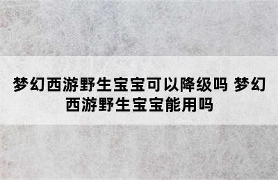 梦幻西游野生宝宝可以降级吗 梦幻西游野生宝宝能用吗